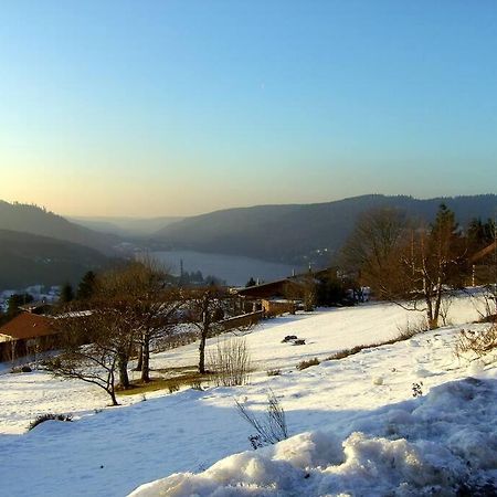 Gerardmer Centre - Studio Au Pied Du Lac Grande Terrasse מראה חיצוני תמונה