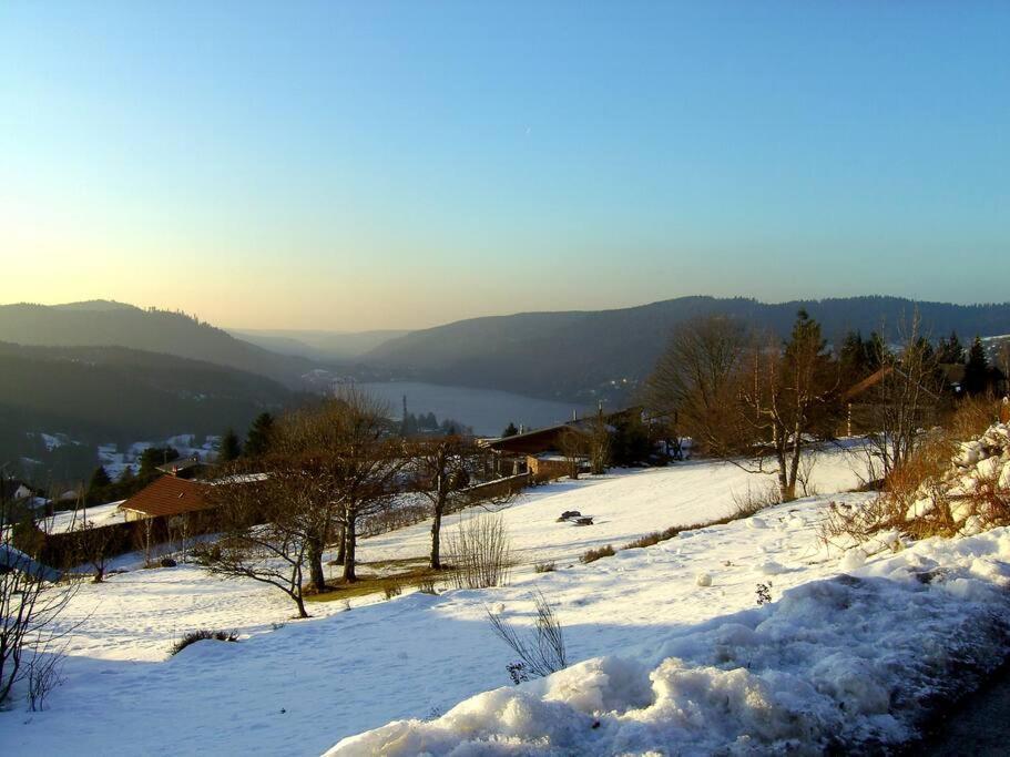 Gerardmer Centre - Studio Au Pied Du Lac Grande Terrasse מראה חיצוני תמונה